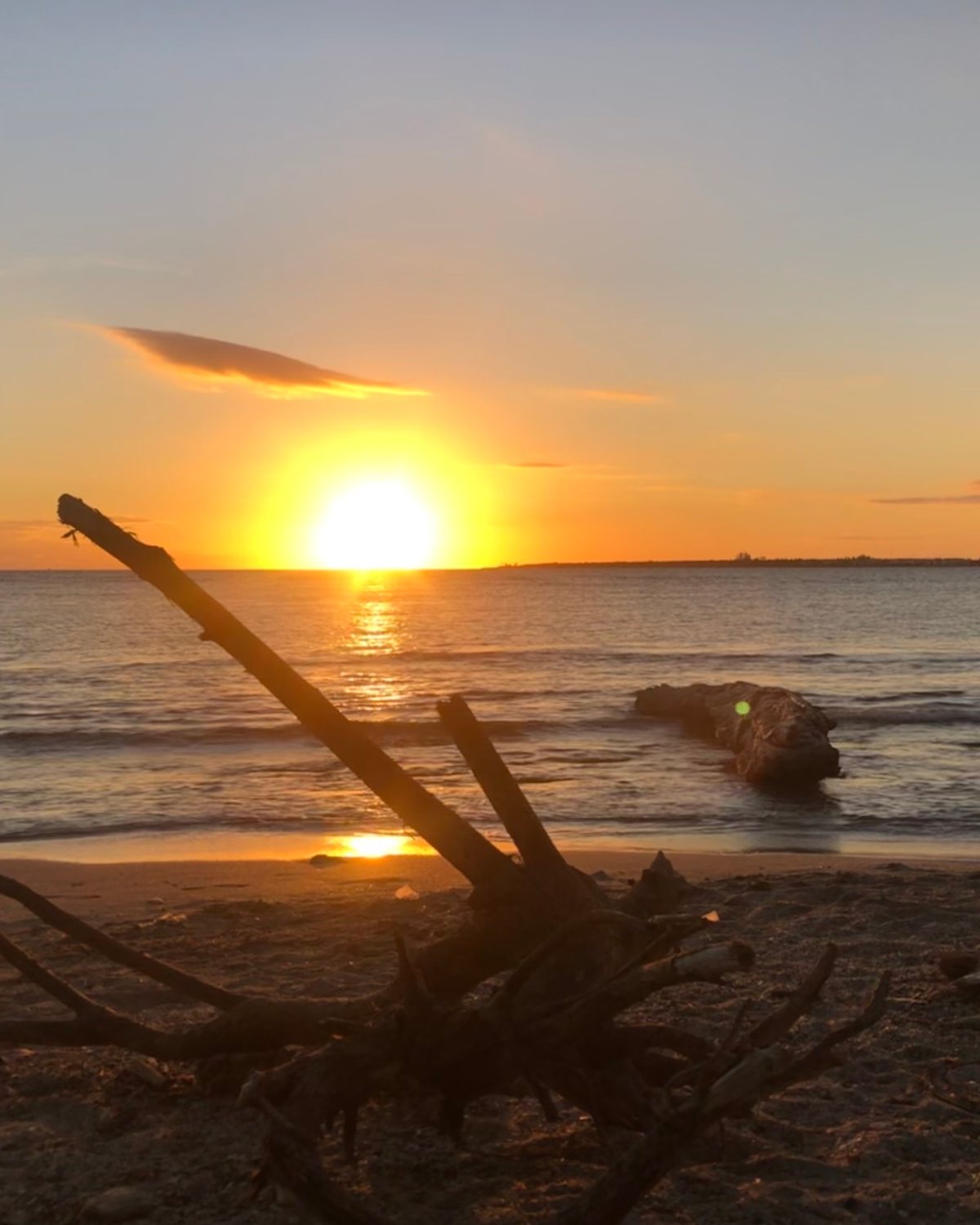 Sunset over the ocean in the Dominican Republic, driftwood resting on the sand