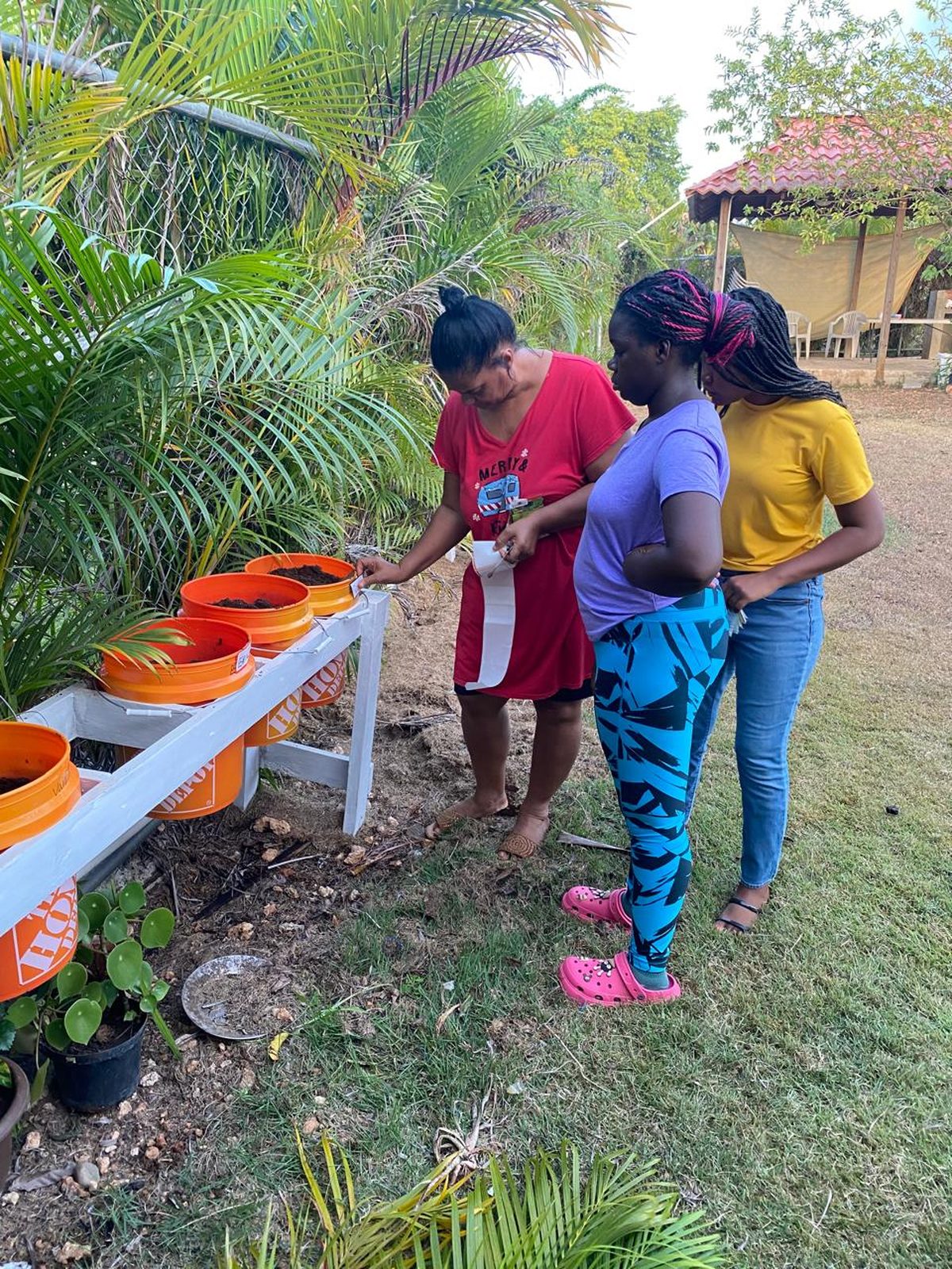 Girls and a house mother filling buckets with soil for planting beside the palms