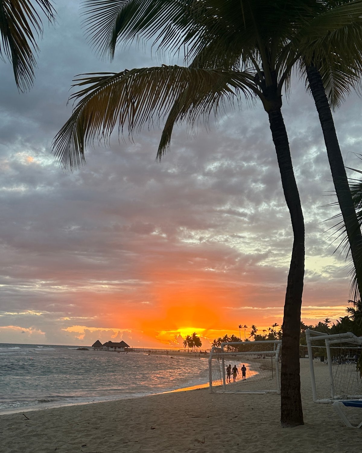 Palm trees along a Dominican beach at sunset, the sky glowing orange over the water